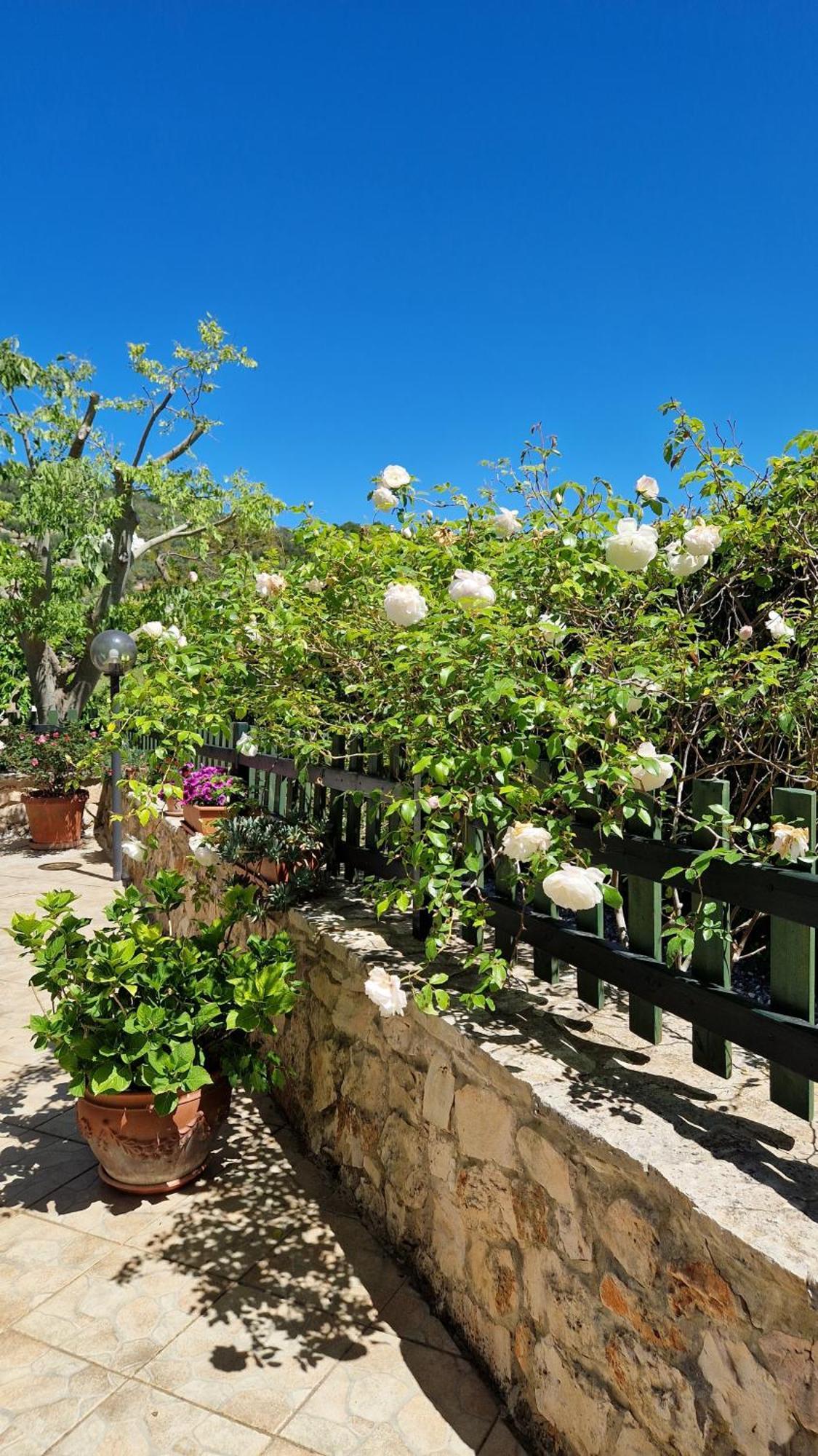 Trullo Grande Noce Villa Ostuni Exterior foto